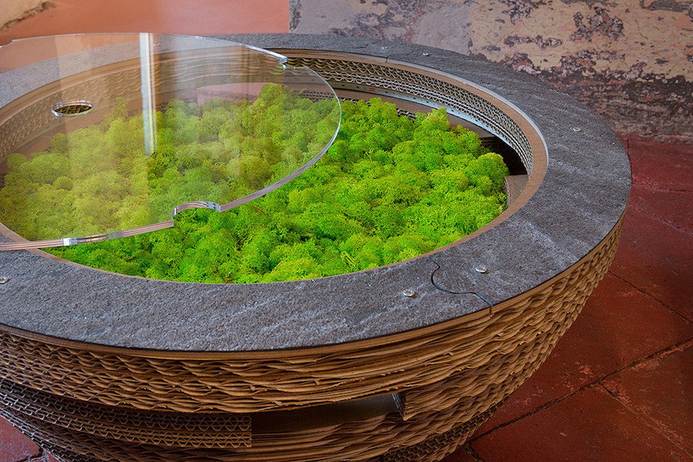 PREZZO SU RICHIESTA - Tavolino Lampada Tappo in cartone con licheni scandinavi veri