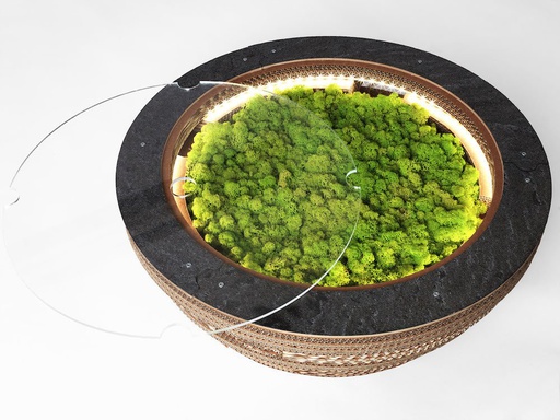 [LESS-TAPP-LICHE] PREZZO SU RICHIESTA - Tavolino Lampada Tappo in cartone con licheni scandinavi veri
